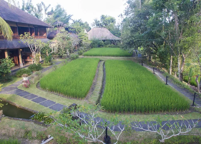 Ananda 4*