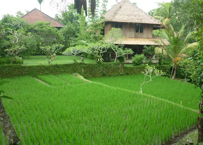 Ananda 4*