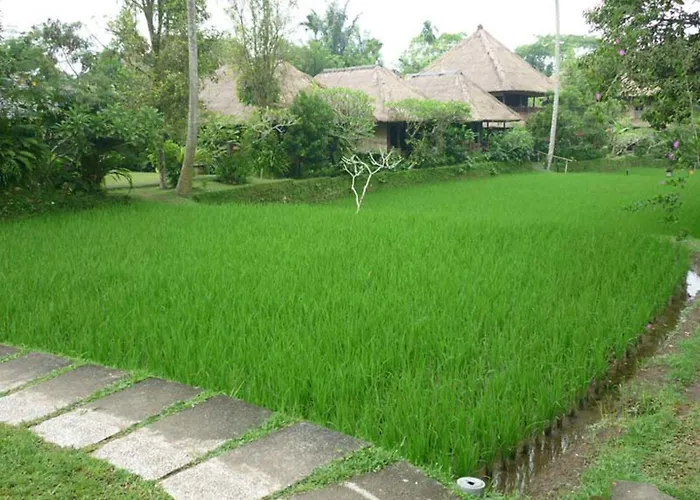 Ananda 4*